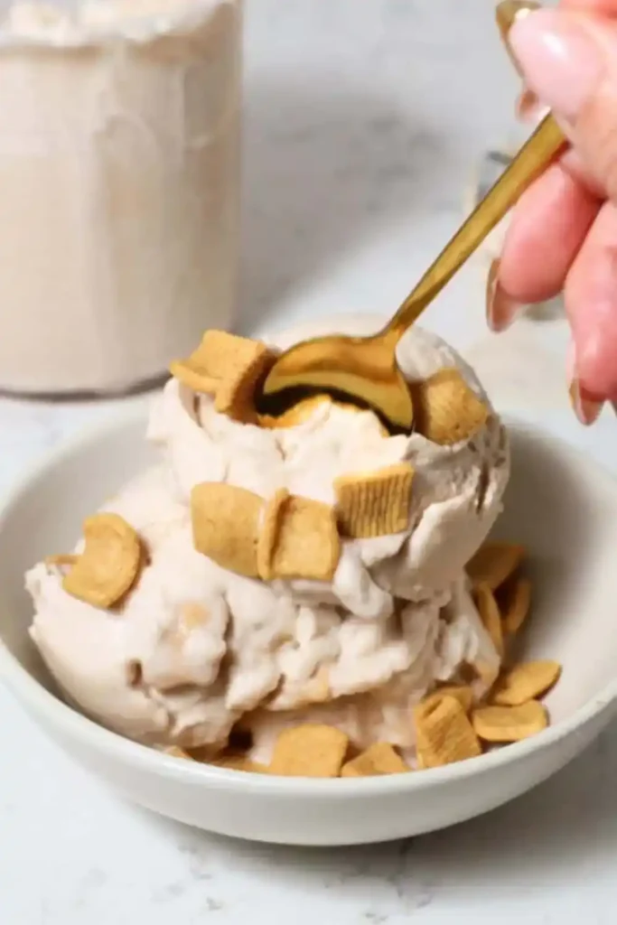 Ninja Creami Recipes